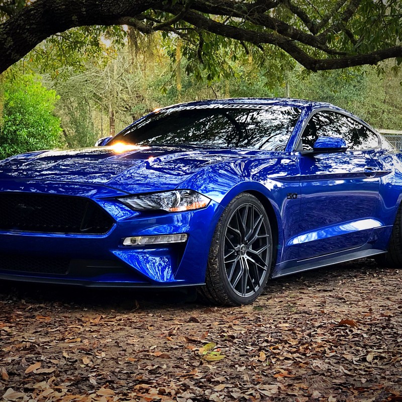 AWane18's Ford Mustang