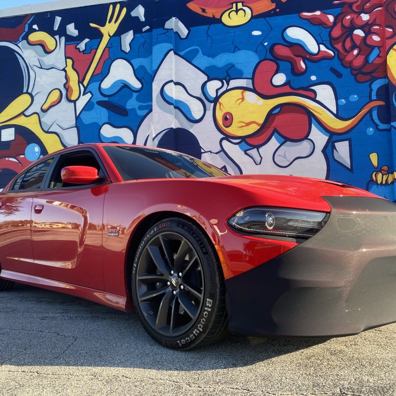 Bloodyscat392's Dodge Charger