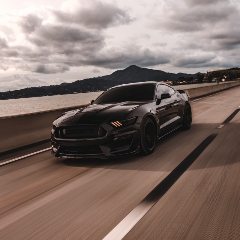 iamkateteezy's Ford Shelby GT350